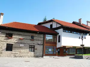 Jubilee retrospective exhibition will be opened in Bansko