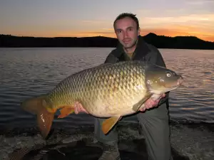 Giant Carp