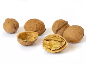 walnuts