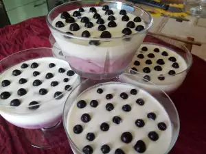 Italiaanse panna cotta met bosbessen en witte chocolade