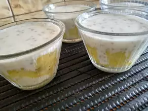 Panna cotta cu chia