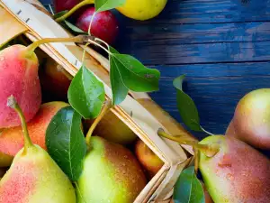 Eat More Pears to Remain Youthful