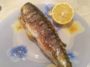 Fast Mackerel