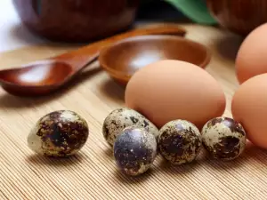 Quail eggs and chicken eggs