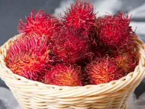 Rambutan Fruits