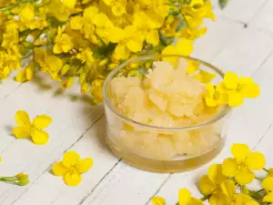 Benefits of Rapeseed Honey