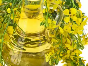 Rapeseed Oil