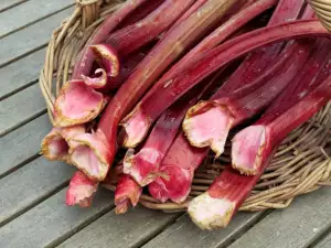 rhubarb stalks