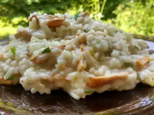 Risotto cu gălbiori