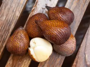 Salak