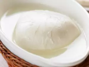 homemade mozzarella