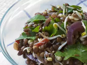 Lentil Salad