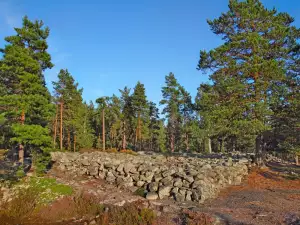 Гробището Самалахденмяки в община Лапи