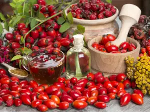 A Healing Rosehip Decoction Works Wonders for the Body