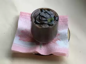 Chocolate Cream with Carob Powder