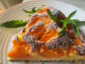 Apricot and Cottage Cheese Cake