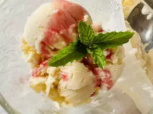 Homemade Creamy Vanilla Ice Cream