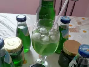 Jarabe de menta para el invierno (sin esterilizar)