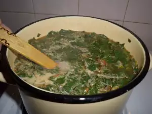 Tasty Spinach Soup with Carrots and Tomatoes