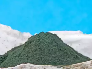 Spirulina