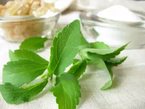 stevia and sugar