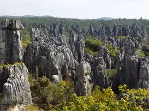 Каменната гора на Южен Китай