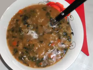 Sopa con Arroz y Ortiga