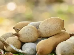 Tamarind Fruits