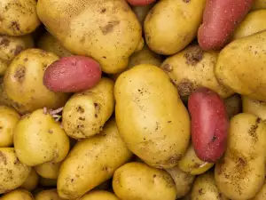 potatoes