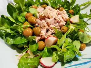 Salat mit Thunfisch, Radieschen, Rucola und Feldsalat