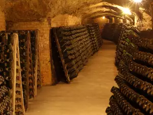 wine cellar