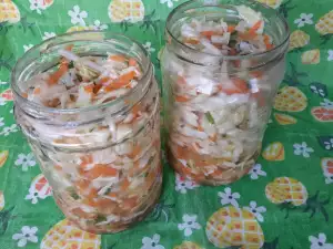 Cabbage and Carrot Salad Pickle