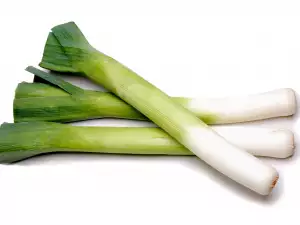 Leek vegetable