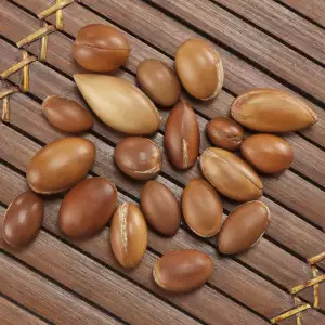 Argan nuts