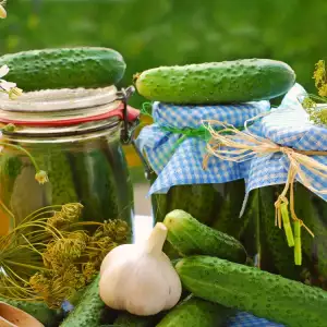 Gherkin Jars