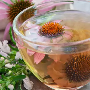 Echinacea tea