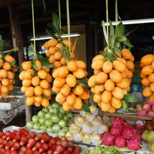 Sapodilla fruit