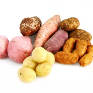 Potato Species