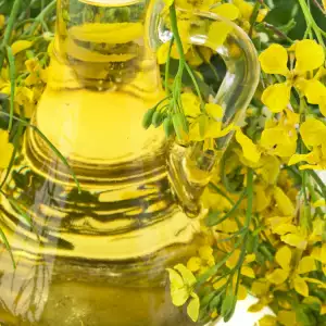 Rapeseed Oil