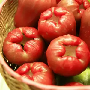 ripe Rose Apples