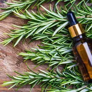 Rosemary oil