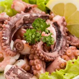 Octopus Salad