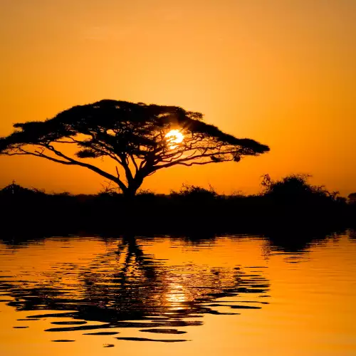 Amboseli National Park