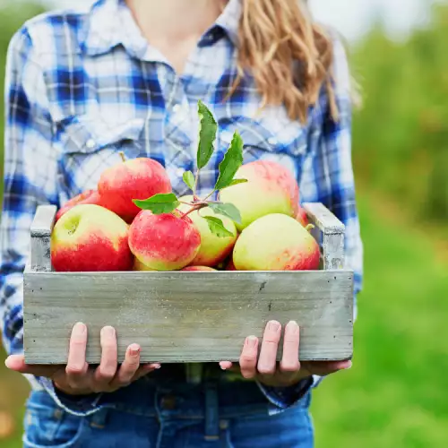 Why and How to Freeze Apples