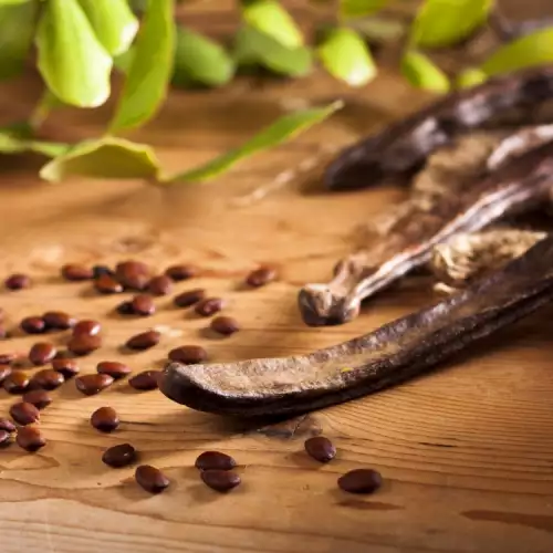 Delicious Biscuits with Carob