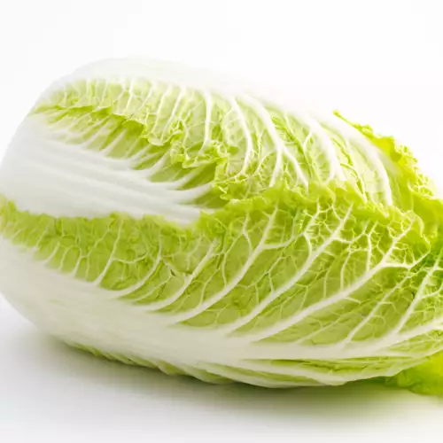 Chinese Cabbage