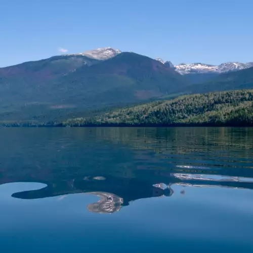 Почти всяка вечер сънувам вода