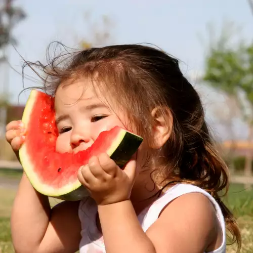 Sind Wassermelonenkerne nützlich?