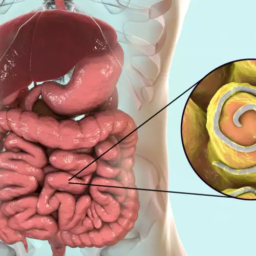 Как да се предпазим от вътрешни паразити