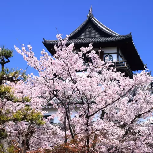 Inuyama Castle